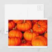 Kürbis Postkarte (Vorne/Hinten)