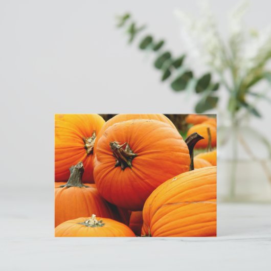 Kürbis Postkarte (Stehend Vorderseite)