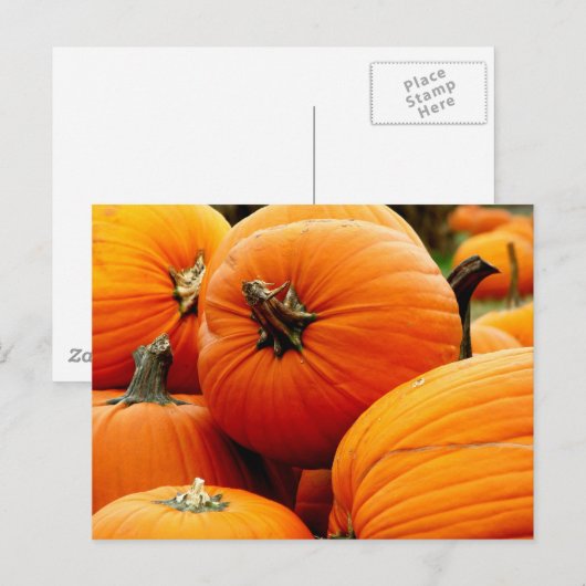 Kürbis Postkarte (Vorne/Hinten)
