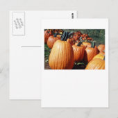 Kürbis Postkarte (Vorne/Hinten)