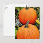 Kürbis Postkarte (Vorne/Hinten)