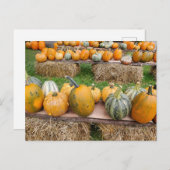 Kürbis Postkarte (Vorne/Hinten)