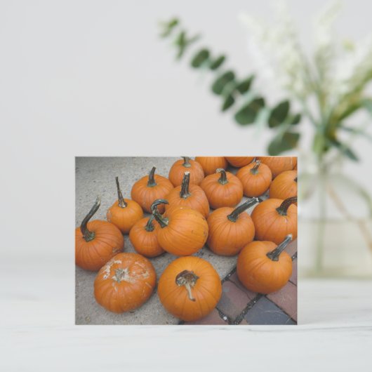 Kürbis Postkarte (Stehend Vorderseite)