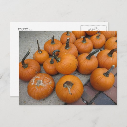 Kürbis Postkarte (Vorne/Hinten)