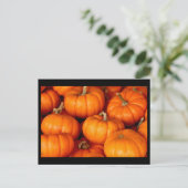 Kürbis Postkarte (Stehend Vorderseite)