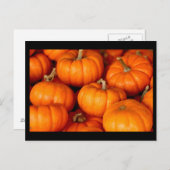 Kürbis Postkarte (Vorne/Hinten)