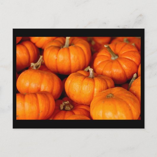 Kürbis Postkarte (Vorderseite)
