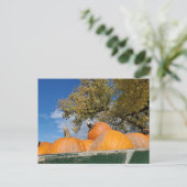 Kürbis Postkarte (Stehend Vorderseite)