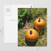 Kürbis Postkarte (Vorne/Hinten)