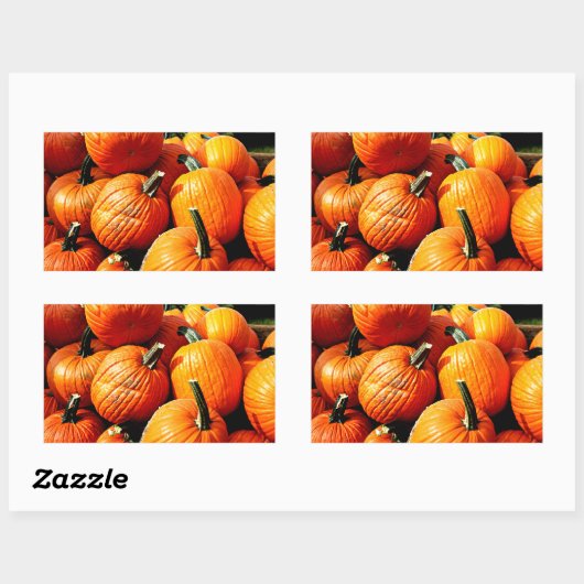 Kürbis!!! Rechteckiger Aufkleber (Blatt)