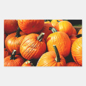 Kürbis!!! Rechteckiger Aufkleber (Vorderseite)