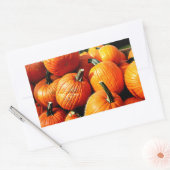 Kürbis!!! Rechteckiger Aufkleber (Umschlag)