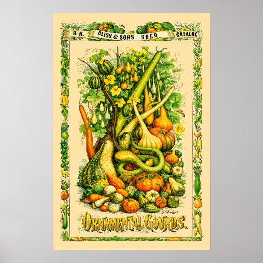 Kürbis Retro Botanische Kunst aus der viktorianisc Poster (Vorne)