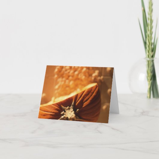 Kürbis-Samen Notecard Karte (Vorderseite)