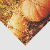 Kürbis und Fall Pflanze Vintage Entkopplung Seidenpapier (Ausschnitt)