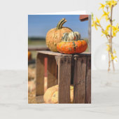 Kürbis- und Gourd-Karte Karte (Gelbe Blume)