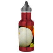 Kürbis und Kürbis aus rostfreiem Stahl Wasserflasc Edelstahlflasche (Links)