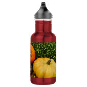 Kürbis und Kürbis aus rostfreiem Stahl Wasserflasc Edelstahlflasche (Rechts)