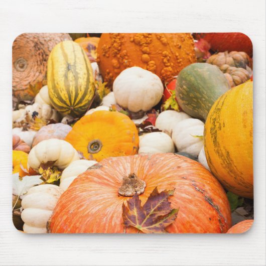 Kürbis und Kürbis Mousepad (Vorne)