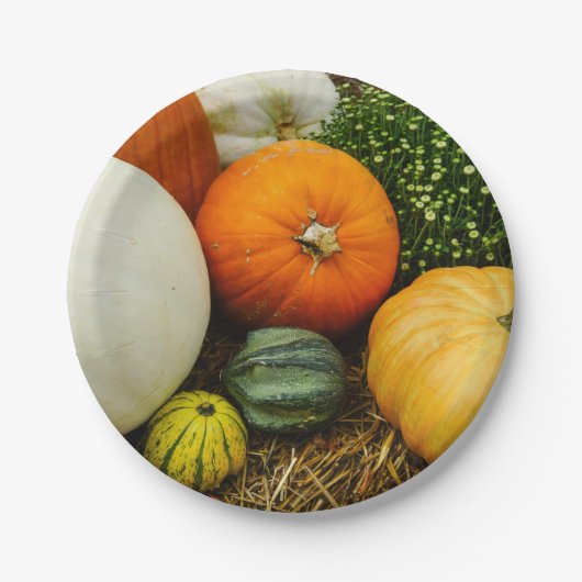 Kürbis und Kürbis Pappteller (Vorderseite)