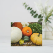 Kürbis und Kürbis Postkarte (Stehend Vorderseite)