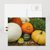 Kürbis und Kürbis Postkarte (Vorne/Hinten)