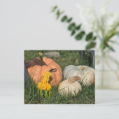 Kürbis und Kürbis Postkarte (Stehend Vorderseite)