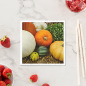 Kürbis und Kürbis Serviette (Beispiel)