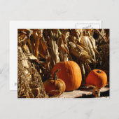 Kürbis und Mais Postkarte (Vorne/Hinten)