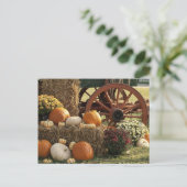Kürbis und Mummeranzeige im Herbst Postkarte (Stehend Vorderseite)