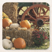 Kürbis und Mummeranzeige im Herbst Rechteckiger Pappuntersetzer (Vorderseite)