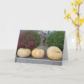 Kürbis und Mums Herbstgutachten Karte (Gelbe Blume)