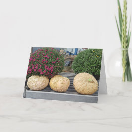 Kürbis und Mums Herbstgutachten Karte