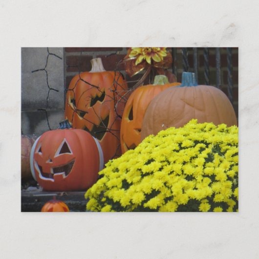 Kürbis und Mums Postkarte (Vorderseite)