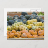 Kürbis und Squash im Bauer Postkarte (Vorne/Hinten)