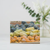 Kürbis und Squash im Bauer Postkarte (Stehend Vorderseite)