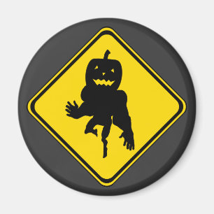 Kürbis vorbei! magnet