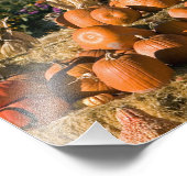 Kürbisanzeige mit Heuballen und Kürbisgewächsen Fotodruck (Ecke)