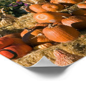 Kürbisanzeige mit Heuballen und Kürbisgewächsen Poster (Ecke)