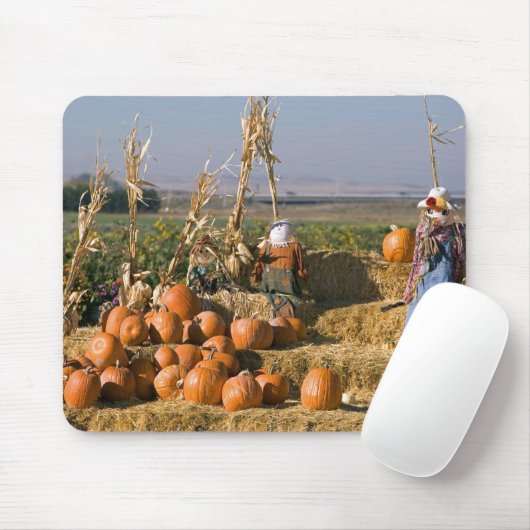 Kürbisanzeige mit Heuballen und Vogelscheuchen Mousepad (Mit Mouse)