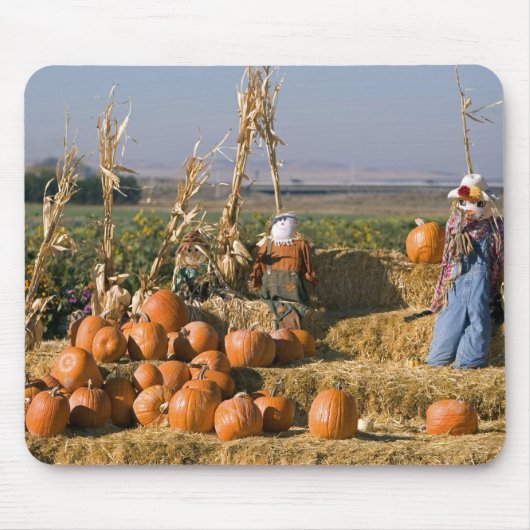 Kürbisanzeige mit Heuballen und Vogelscheuchen Mousepad (Vorne)