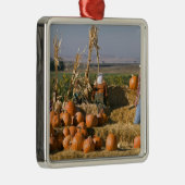 Kürbisanzeige mit Heuballen und Vogelscheuchen Silbernes Ornament (Rechts)
