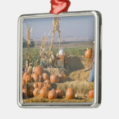 Kürbisanzeige mit Heuballen und Vogelscheuchen Silbernes Ornament (Links)