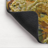 Kürbisart Mousepad (Ecke)
