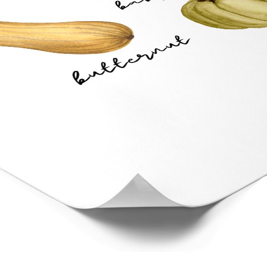 Kürbisarten Poster (Ecke)