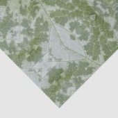 Kürbisblatt Makro Seidenpapier (Detail)
