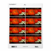 Kürbisbutter / Konserven / Püree-Food-Jar (Vorne)