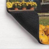 Kürbise auf Bauernhof im Herbst nahe Mousepad (Ecke)