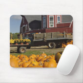 Kürbise auf Bauernhof im Herbst nahe Mousepad (Mit Mouse)