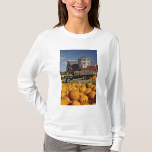 Kürbise auf Bauernhof im Herbst nahe T-Shirt